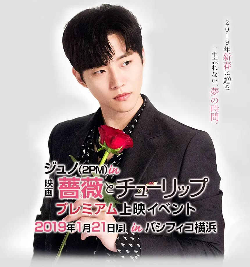 玫瑰与郁金香 薔薇海报