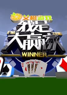 我是大赢家2016海报