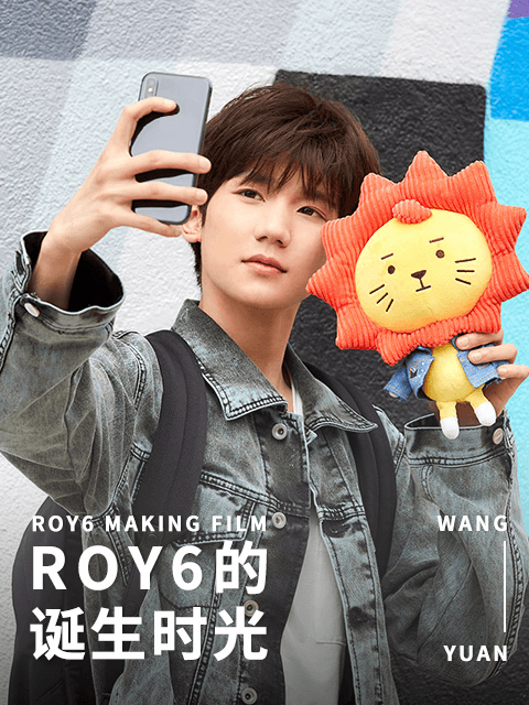 ROY6的诞生时光海报