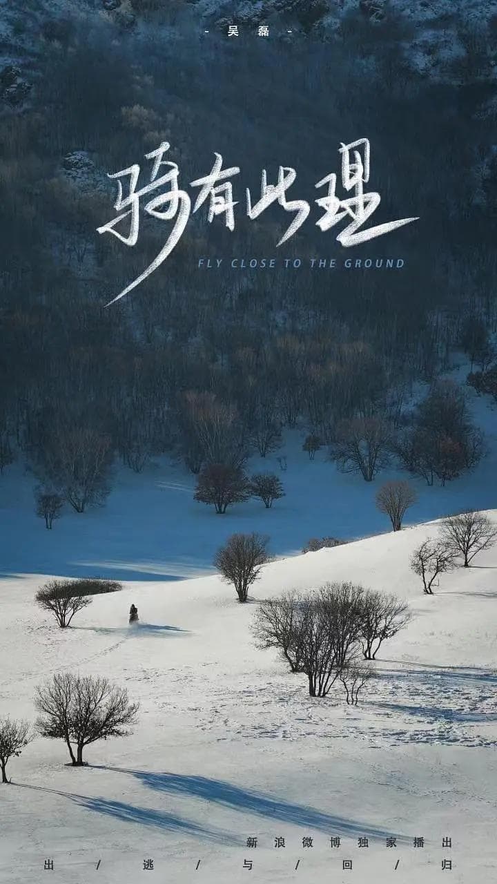骑有此理第一季海报