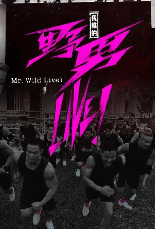 我推的野男LIVE！海报