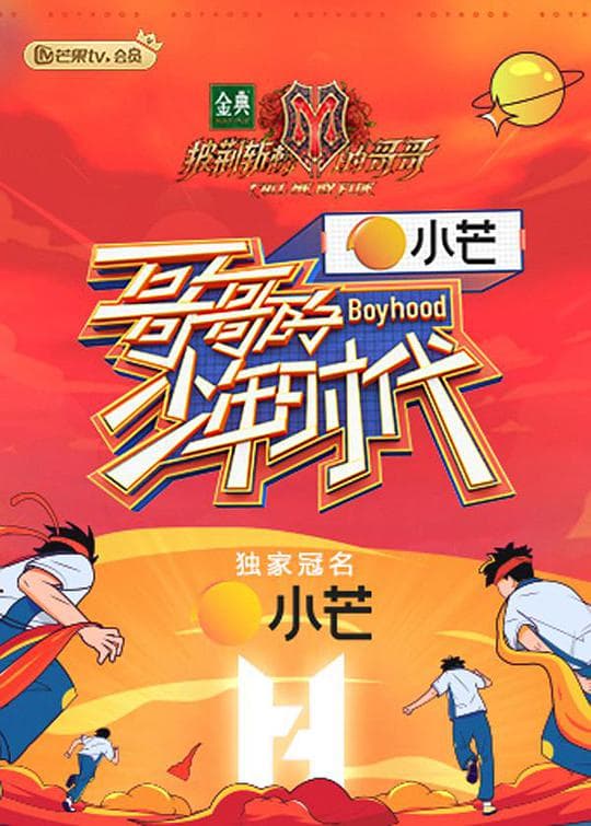 哥哥的少年时代课间版海报