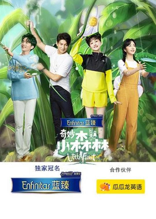奇妙小森林海报